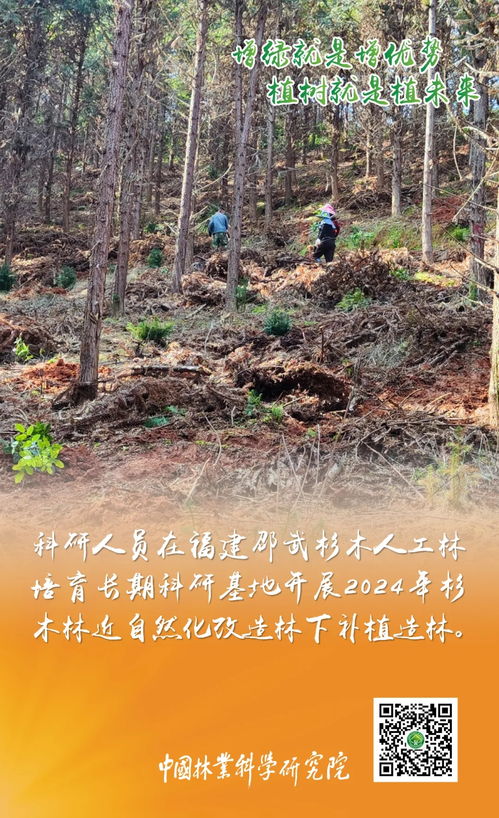 增绿就是增优势 植树就是植未来