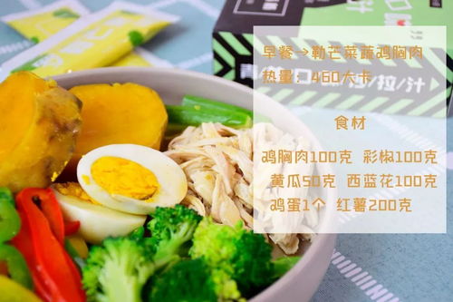 96年夫妻每天设计1000大卡减脂餐
