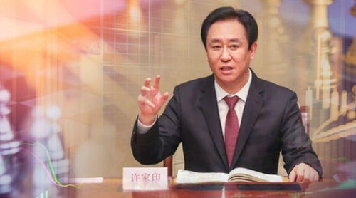 许家印前妻丁玉梅 申请被拒