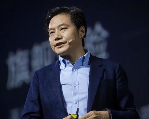 武大在读硕士放言“超越雷军”