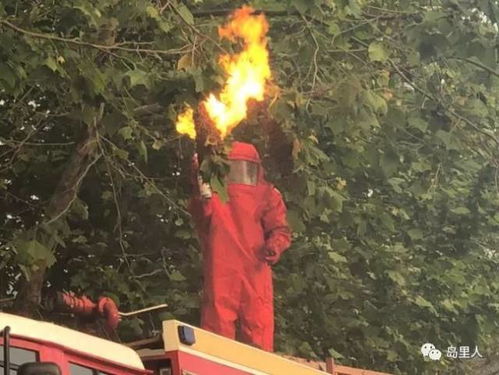 网传漂流小孩哥火烧土地庙 不实