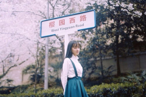 陈数现身武大赏樱花