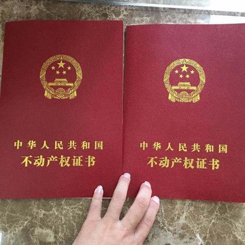 全款买房十年办不出房证 最终被查封