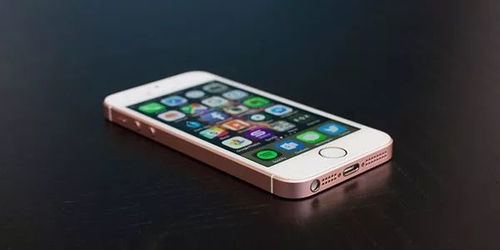 中国组装iPhone产线停工？厂商回应