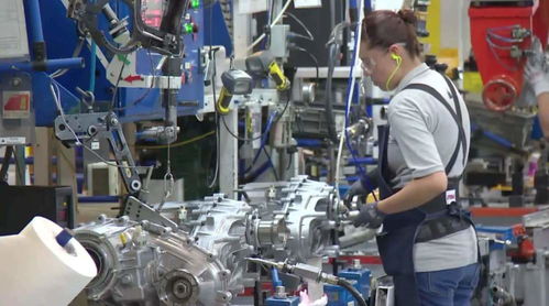 美国小企业主：政府彻底摧毁了我