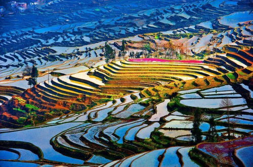 11部影片定档2025五一档