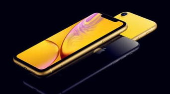  iPhone XR 多少钱，全面解析与购买建议 iphonexr多少钱一台