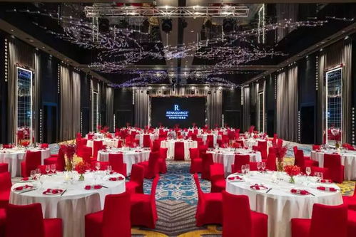 宴会厅设计效果图大全，华丽宴会厅的魅力展示