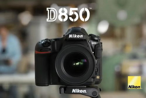  尼康D850与D6对比，哪个相机更好？ 尼康d850和佳能6d2对比，尼康D850与D6对比哪个相机更好？