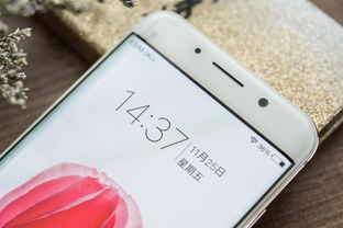  Vivo Play6换屏价格详解 vivoxplay6换屏多少钱