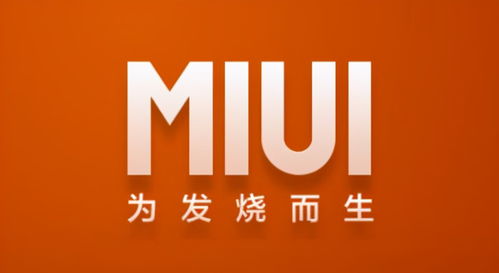  小米官网入口——了解小米，从这里开始 小米官网入口查询真伪，小米官网入口——查询真伪，了解小米从这里开始