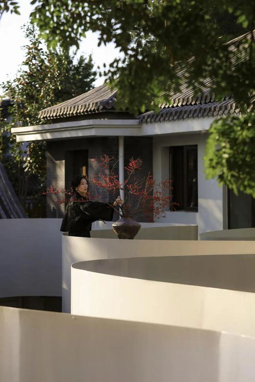 四合院设计，传统与现代的完美融合的屋内装修效果图