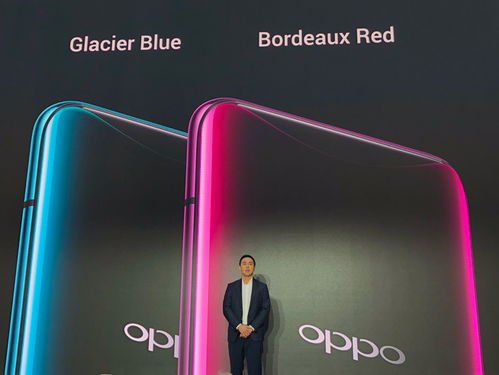  OPPO Find X，未来科技与优雅设计的完美融合 oppofindx3，OPPO Find X3 未来科技与优雅设计的完美融合