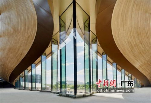 果壳设计效果图片大全，探索未来设计的无限可能