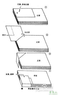 凭证设计效果图怎么画 凭证设计效果图 