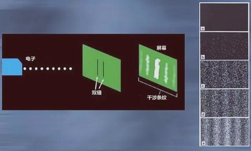  探索未知，sn的神秘面纱 sn是什么元素