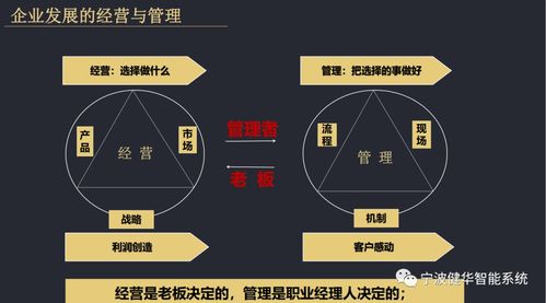 工作室运行设计方案，如何规划与实施成功运营的关键要素
