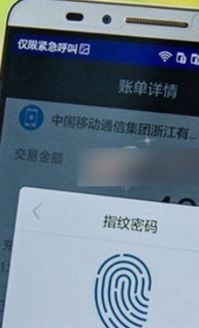 华为支付与支付宝支付密码的差异，双重支付保障揭秘