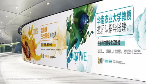 武术课程包装设计方案，提升学员体验与课程吸引力
