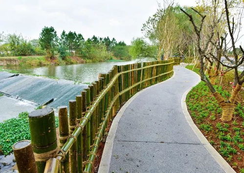 乡村河流滨水设计方案，打造美丽滨水景观