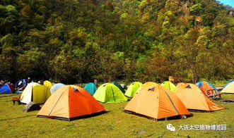 露营深山设计图片精选