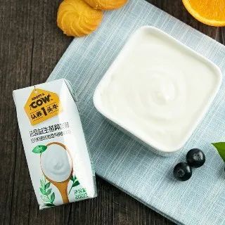 酸奶牛设计图片赏析，品味健康与美味的完美融合