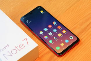 小米是什么米 ，小米是什么小米品牌下的产品