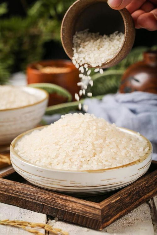 小米有糖分吗？ ，小米含糖量高吗？