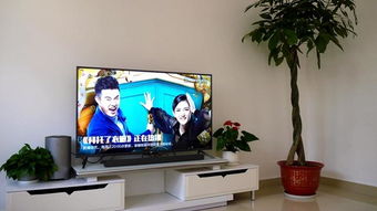 小米智能电视机，开启家庭娱乐新纪元 ，小米智能电视机，打造家庭娱乐新标杆