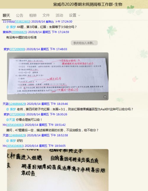 小米浏览器插件，提升你的网络体验的秘密武器 