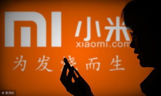 揭秘小米虚假宣传，消费者权益的挑战与反思 