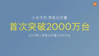 小米众筹，开启创新筹款新模式 ，小米创新筹款新模式，开启小米众筹热潮