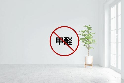 小米测甲醛，科技助力，守护健康无醛生活 ，小米测甲醛，科技助力守护健康无醛生活的新篇章