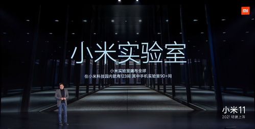 揭秘小米的F码，神秘身份背后的真相 ，小米F码的神秘面纱，真相揭秘