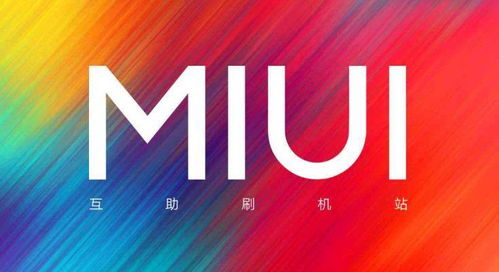 安小米小说，探寻文学的魅力与深度 ，安小米小说，文学魅力与深度的探寻