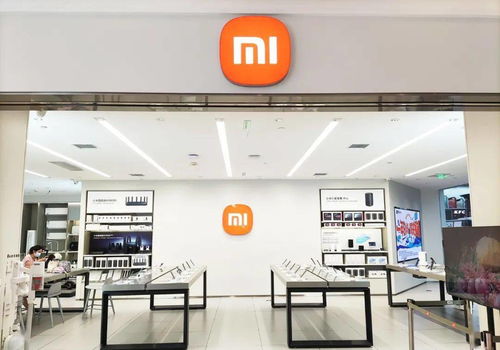 杭州小米专卖店，科技与生活的完美融合 