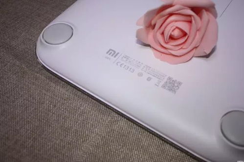 小米体重器，智能生活的健康助手 