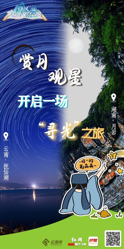 探索多彩的黄小米世界——种类与特色 ，探索多彩的黄小米世界，种类与特色解析