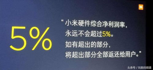 小米销售专员的魅力与挑战 ，小米销售专员，魅力与挑战并存的职业