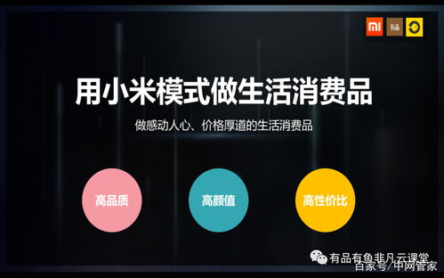 小米的魅力与影响 ，小米的魅力与影响力