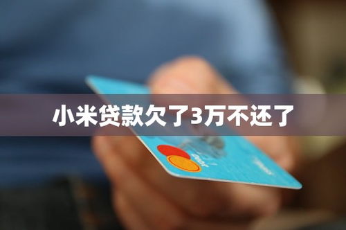 小米金融贷款申请流程详解，贷款是否容易获得？