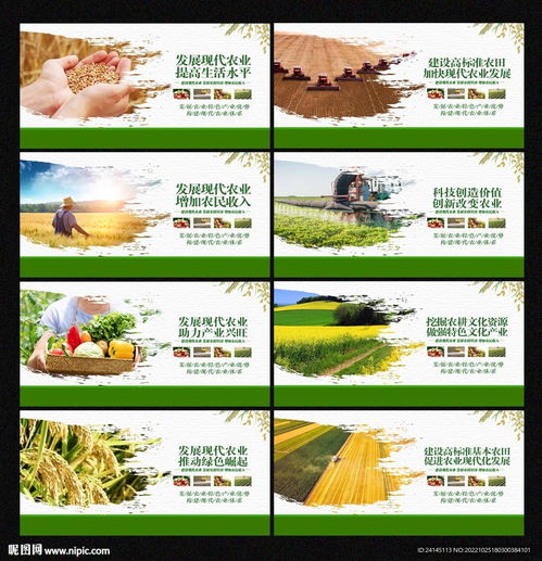 生意小米，从传统农业到现代商业的蜕变之路