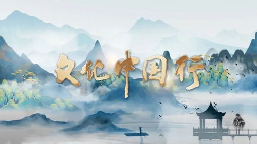 江小米与顾，一段跨越时空的缘分
