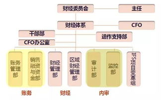 小米公司分钱，策略、影响与未来展望