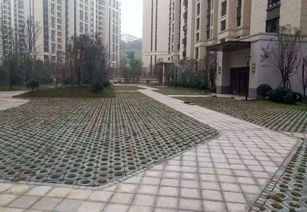 植草砖的设计图片与绿色景观的完美融合