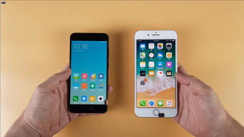 小米6与iPhone 6，两款智能手机对比