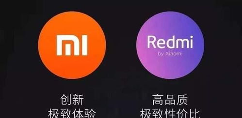 小米的标签，创新与品质的象征