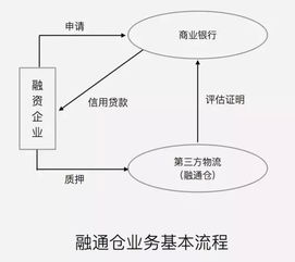 蔬菜供应链设计的图片与深度解析