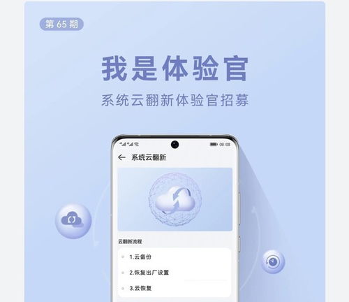 华为手机网络功能介绍，华为手机网络功能介绍，全面解析华为手机网络功能