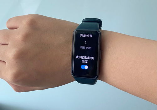 华为手环6 功能详细图
